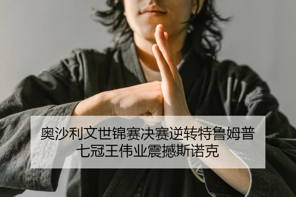 ao-sha-li-wen-shi-jin-sai-jue-sai-ni-zhuan-te-lu-mu-pu-qi-guan-wang-wei-ye-zhen-han-si-nuo-ke-2-879.jpg
